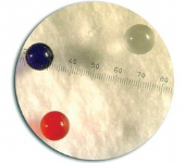 Chromosphere-T 認證的尺寸標準微粒